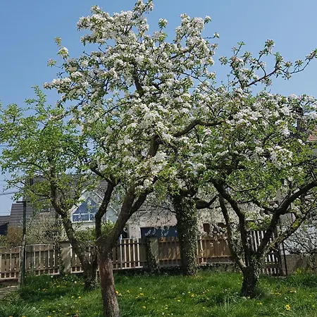 Homestay Maison Les 3 Roses *